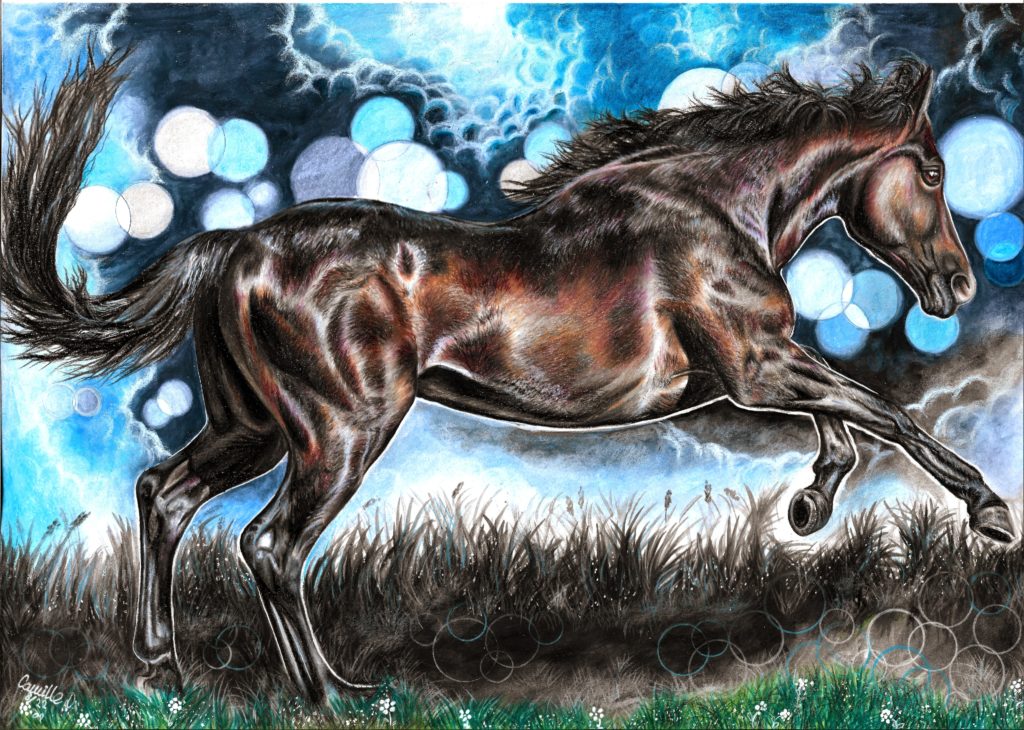 cheval de Camille Zéphyr