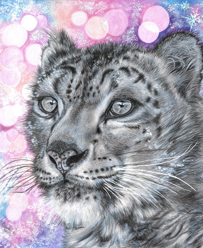 Léopard des neiges de Camille Zéphyr
